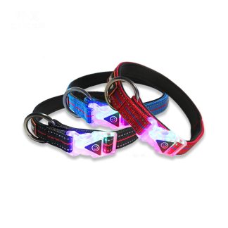 Collier et laisse LED lumineux pour animal