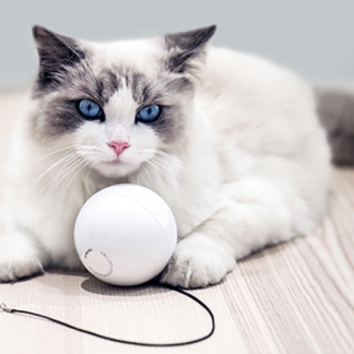Balle interactive intelligente automatique pour chat