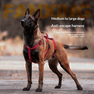 Harnais anti-traction pour chiens de taille moyenne à grande