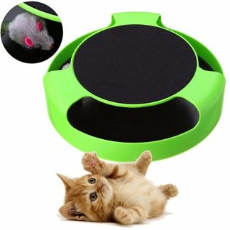 Jouet interactif automatique pour chat