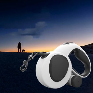 Laisse LED en nylon tressé pour chien