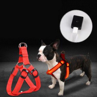 Harnais pectoral LED lumineux pour grand chien