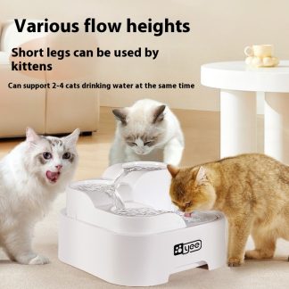 Fontaine filtrante eau vive circulante pour chat