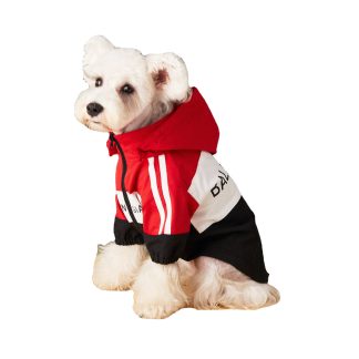 Veste imperméable pour chien