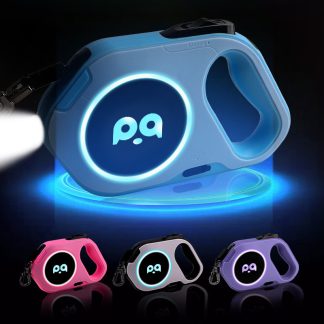 Laisse rétractable LED lumineuse pour chien